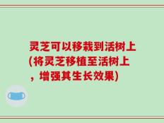 灵芝可以移栽到活树上(将灵芝移植至活树上，增强其生长效果)