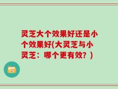 灵芝大个效果好还是小个效果好(大灵芝与小灵芝：哪个更有效？)