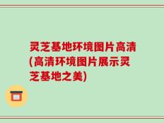 灵芝基地环境图片高清(高清环境图片展示灵芝基地之美)