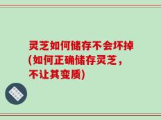 灵芝如何储存不会坏掉(如何正确储存灵芝，不让其变质)
