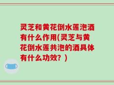 灵芝和黄花倒水莲泡酒有什么作用(灵芝与黄花倒水莲共泡的酒具体有什么功效？)