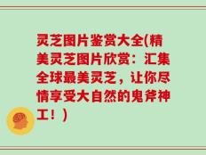 灵芝图片鉴赏大全(精美灵芝图片欣赏：汇集全球最美灵芝，让你尽情享受大自然的鬼斧神工！)