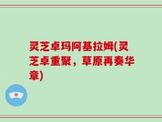 灵芝卓玛阿基拉姆(灵芝卓重聚，草原再奏华章)