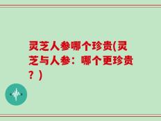灵芝人参哪个珍贵(灵芝与人参：哪个更珍贵？)