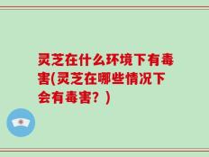 灵芝在什么环境下有毒害(灵芝在哪些情况下会有毒害？)