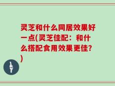 灵芝和什么同居效果好一点(灵芝佳配：和什么搭配食用效果更佳？)