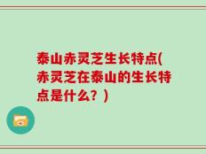 泰山赤灵芝生长特点(赤灵芝在泰山的生长特点是什么？)