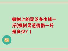 枫树上的灵芝多少钱一斤(枫树灵芝价格一斤是多少？)