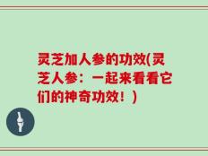 灵芝加人参的功效(灵芝人参：一起来看看它们的神奇功效！)