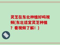 灵芝在东北种植好吗视频(东北适宜灵芝种植？看视频了解！)