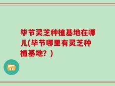 毕节灵芝种植基地在哪儿(毕节哪里有灵芝种植基地？)
