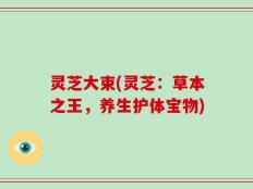 灵芝大束(灵芝：草本之王，养生护体宝物)