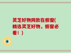 灵芝好物同款在橱窗(精选灵芝好物，橱窗必看！)