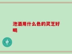 泡酒用什么色的灵芝好喝