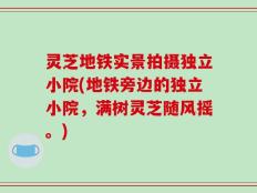 灵芝地铁实景拍摄独立小院(地铁旁边的独立小院，满树灵芝随风摇。)