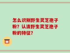 怎么识别野生灵芝孢子粉？认清野生灵芝孢子粉的特征？