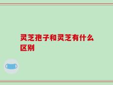 灵芝孢子和灵芝有什么区别