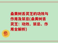 桑黄树舌灵芝的功效与作用及禁忌(桑黄树舌灵芝：功效、禁忌、作用全解析)
