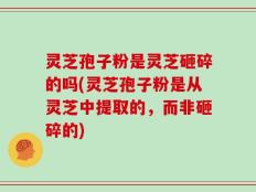 灵芝孢子粉是灵芝砸碎的吗(灵芝孢子粉是从灵芝中提取的，而非砸碎的)