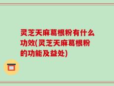 灵芝天麻葛根粉有什么功效(灵芝天麻葛根粉的功能及益处)