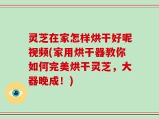 灵芝在家怎样烘干好呢视频(家用烘干器教你如何完美烘干灵芝，大器晚成！)