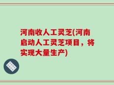 河南收人工灵芝(河南启动人工灵芝项目，将实现大量生产)