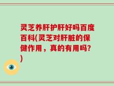 灵芝养肝护肝好吗百度百科(灵芝对肝脏的保健作用，真的有用吗？)