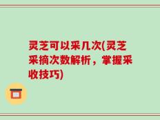 灵芝可以采几次(灵芝采摘次数解析，掌握采收技巧)