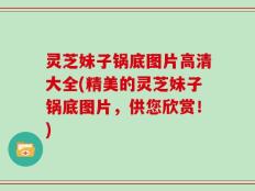 灵芝妹子锅底图片高清大全(精美的灵芝妹子锅底图片，供您欣赏！)