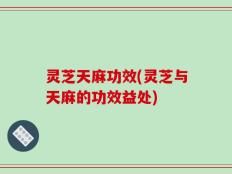 灵芝天麻功效(灵芝与天麻的功效益处)