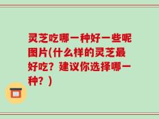 灵芝吃哪一种好一些呢图片(什么样的灵芝最好吃？建议你选择哪一种？)