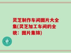 灵芝制作车间图片大全集(灵芝加工车间的全貌：图片集锦)