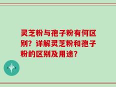 灵芝粉与孢子粉有何区别？详解灵芝粉和孢子粉的区别及用途？