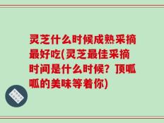 灵芝什么时候成熟采摘最好吃(灵芝最佳采摘时间是什么时候？顶呱呱的美味等着你)