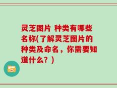 灵芝图片 种类有哪些名称(了解灵芝图片的种类及命名，你需要知道什么？)