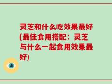 灵芝和什么吃效果最好(最佳食用搭配：灵芝与什么一起食用效果最好)