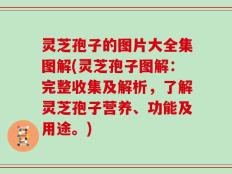灵芝孢子的图片大全集图解(灵芝孢子图解：完整收集及解析，了解灵芝孢子营养、功能及用途。)