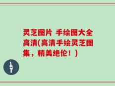 灵芝图片 手绘图大全高清(高清手绘灵芝图集，精美绝伦！)