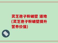 灵芝孢子粉破壁 道地(灵芝孢子粉破壁提升营养价值)