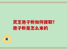 灵芝孢子粉如何提取？孢子粉是怎么来的