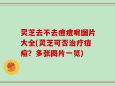 灵芝去不去痘痘呢图片大全(灵芝可否治疗痘痘？多张图片一览)