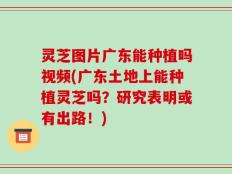 灵芝图片广东能种植吗视频(广东土地上能种植灵芝吗？研究表明或有出路！)