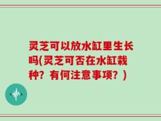 灵芝可以放水缸里生长吗(灵芝可否在水缸栽种？有何注意事项？)