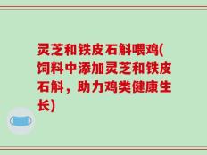 灵芝和铁皮石斛喂鸡(饲料中添加灵芝和铁皮石斛，助力鸡类健康生长)