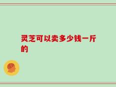 灵芝可以卖多少钱一斤的