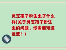 灵芝孢子粉生虫子什么样(关于灵芝孢子粉生虫的问题，你需要知道这些！)