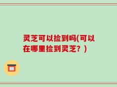 灵芝可以捡到吗(可以在哪里捡到灵芝？)
