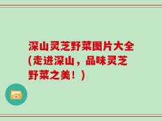 深山灵芝野菜图片大全(走进深山，品味灵芝野菜之美！)