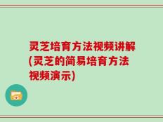灵芝培育方法视频讲解(灵芝的简易培育方法视频演示)
