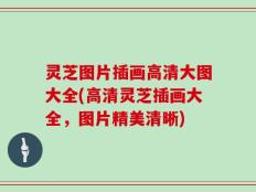灵芝图片插画高清大图大全(高清灵芝插画大全，图片精美清晰)